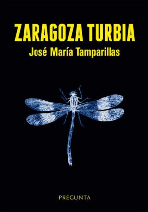 Zaragoza turbia
